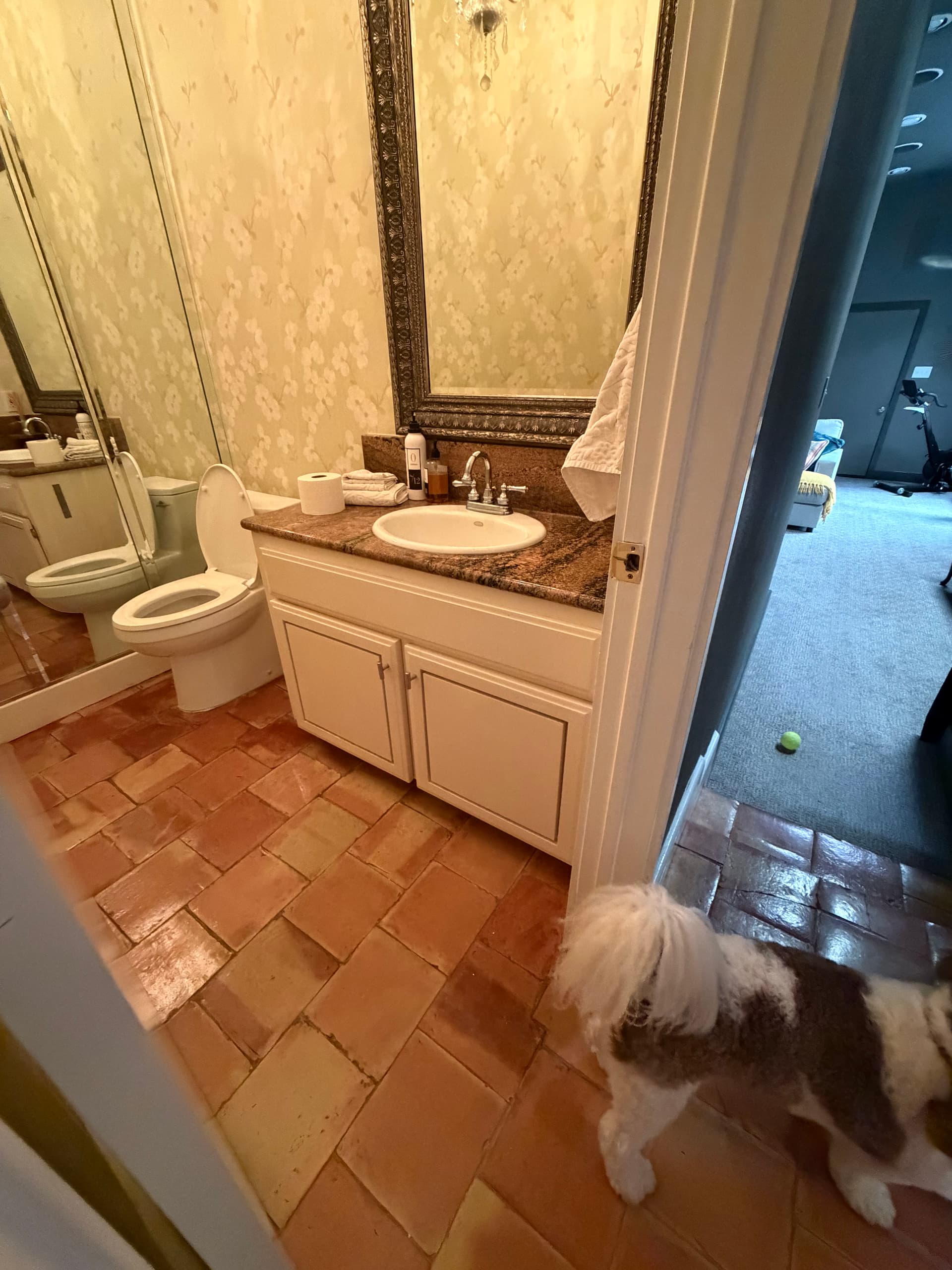 Gallery photos for Powder Bath Vanity Swap That Changed the Whole Room: Image #1