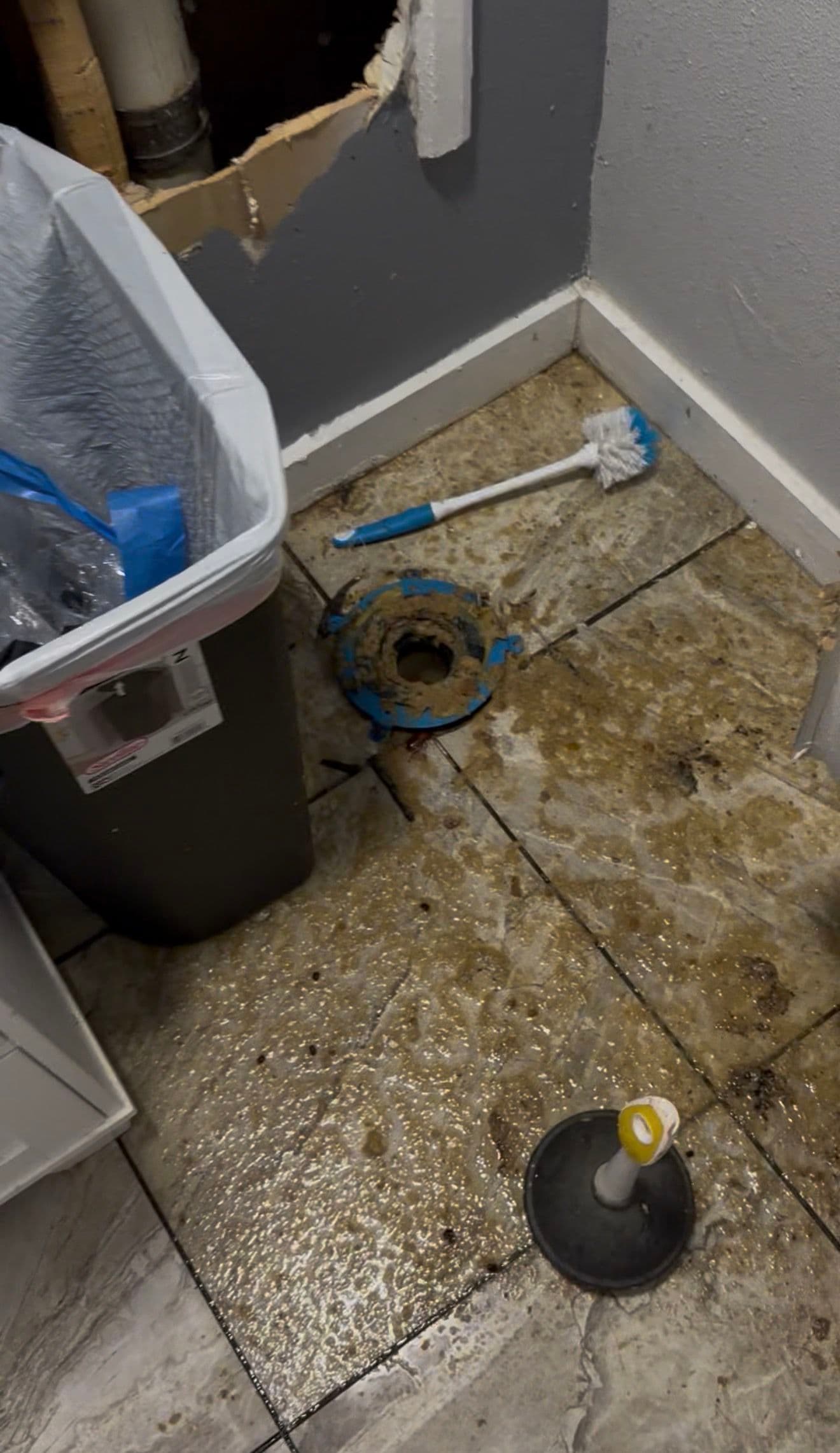 Project Commercial Toilet Drain Clog Cleared Fast image