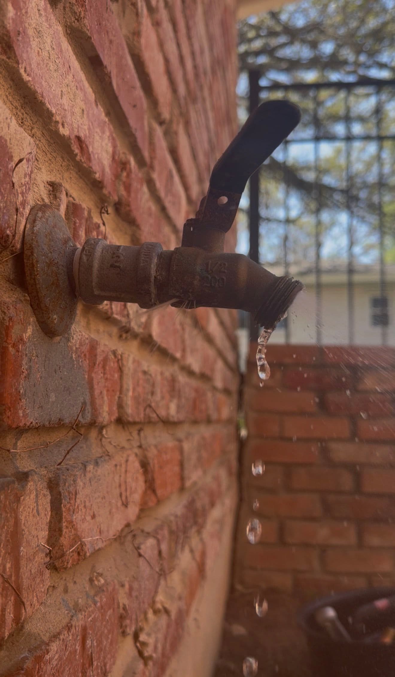 Gallery photos for Leaking Hose Bib Swapped Out and Back in Business: Image #4